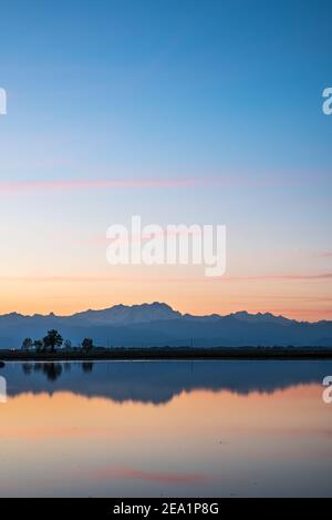 Zwischen den Provinzen Vercelli und Novara werden über 90% der gesamten italienischen Reisproduktion angebaut. Carnaroli Qualität ist die am meisten von den besten verwendet Stockfoto