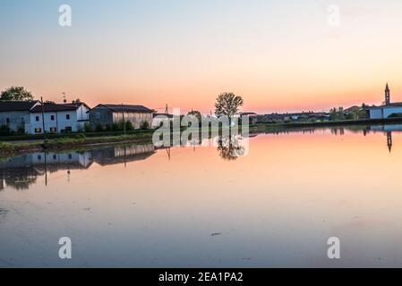 Zwischen den Provinzen Vercelli und Novara werden über 90% der gesamten italienischen Reisproduktion angebaut. Carnaroli Qualität ist die am meisten von den besten verwendet Stockfoto
