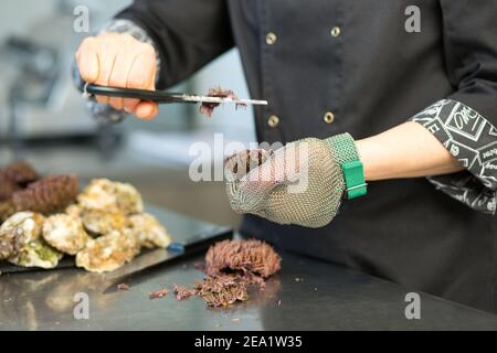 Der Koch schneidet den Seeigel mit einer Schere in der Küche des Restaurants. Nahaufnahme einer Hand mit einem Messer in einem Metallhandschuh. Auf einem Metalltisch sind Meeresfrüchte, Stockfoto