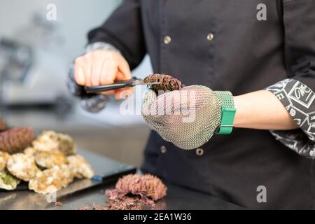 Der Koch schneidet den Seeigel mit einer Schere in der Küche des Restaurants. Nahaufnahme einer Hand in einem Metallhandschuh. Auf einem Metalltisch sind Meeresfrüchte, Austern. Der Stockfoto