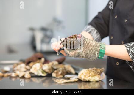 Der Koch schneidet den Seeigel (Echinoidea) mit einer Schere in der Küche des Restaurants. Nahaufnahme einer Hand in einem Metallhandschuh. Auf einem Metalltisch sind se Stockfoto