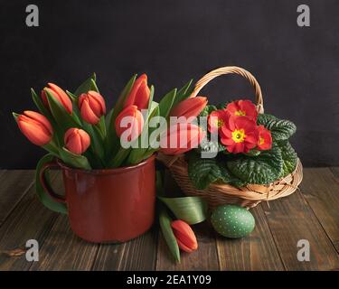 Korb mit roten Primrose Topfblumen und orangefarbenen Tulpen in rustikalem Metallglas auf dunklem rustikalem Holz. Bemalte Küken- und Wachteleier. Kein Abfall natürlich Stockfoto