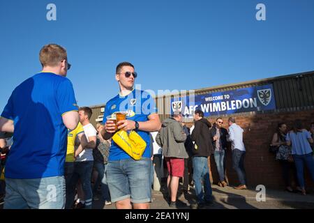 AFC Wimbledon-Fans trinken Bier vor dem Spiel im AFC Wimbledon Football Club, England. Stockfoto