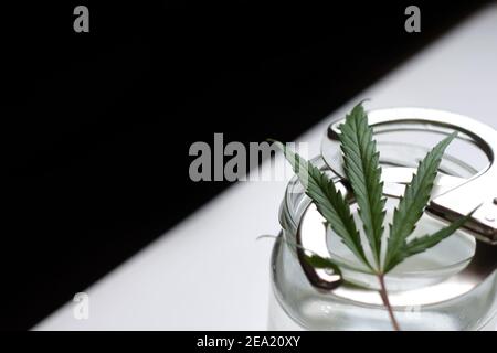 Cannabis Marihuana Blatt, Handschellen, Dose Wasser. Die Illegalität der Drogen. Weißer Hintergrund. Transparenter Behälter. Minimalismus. SCHWARZER SCHATTEN AUF DEM Stockfoto