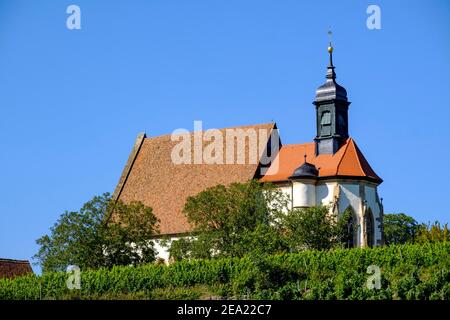 Spätgotische Wallfahrtskirche Maria im Weingarten, Volkach, Mainfranken, Unterfranken, Franken, Bayern, Deutschland Stockfoto