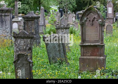 Grabsteine auf dem Jüdischen Friedhof, Bad Buchau, Baden-Württemberg, Deutschland Stockfoto