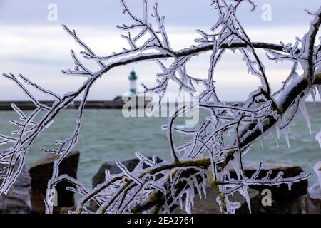 Sassnitz, Deutschland. Februar 2021, 07th. An den Ästen der Büsche am Ufer hat sich eine dicke Eisschicht gebildet. Das Spray der Wellen spritzt auf die Uferbefestigung und bildet die Eisschicht. Starke Winde verursachen Schneewehen und Eisbildung an der Küste im Norden der Insel. Der Deutsche Wetterdienst (DWD) erwartet am Wochenende Schneestürme und Permafrost für Norddeutschland. Quelle: Jens Büttner/dpa-Zentralbild/dpa/Alamy Live News Stockfoto