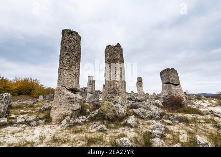 Steinwüste Pobiti Kamani Felsenphänomen, in der Nähe von Varna, Bulgarien Stockfoto