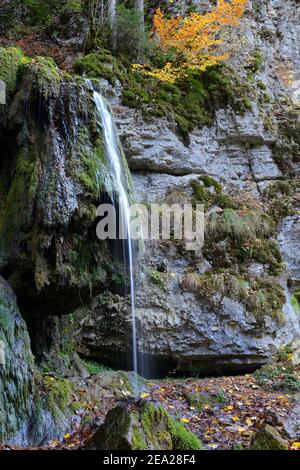 Wutach Schlucht, moosige Felswand mit Wasserfall, Wutach, Naturschutzgebiet, Schwarzwald, Naturpark Park Südschwarzwald, Hochschwarzwald Stockfoto