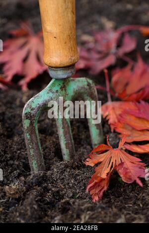 Digging fork, hand fork, garden fork Stockfoto