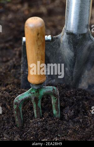 Digging fork, hand fork, garden fork Stockfoto