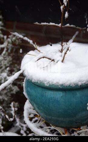 Pflanztopf bedeckt mit Schnee Stockfoto