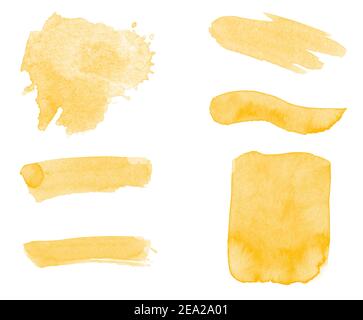 Set von gelben Aquarellpinsel zum Malen Stockfoto