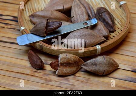 Vorgeritzte Pilinuts mit Pili Cracker, geöffnet ( Canarium ovatum) Stockfoto