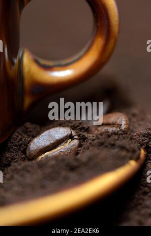 Kaffeebohnen und Kaffeepulver, Coffea arabica Stockfoto