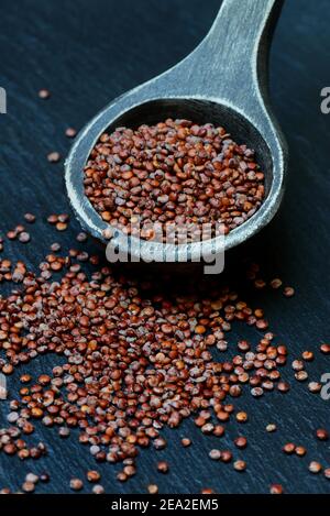 Quinoa in Holzlöffel, Chenopodium Quinoa Stockfoto