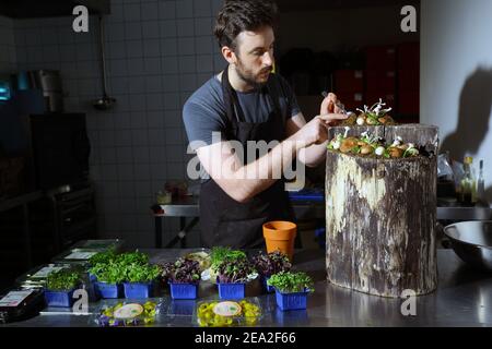 GROSSBRITANNIEN /London / Bombas und Paar/ Pilze mit essbarem Pilzpaté-Boden.für die Stella Artois Le Savoir Veranstaltung ein multisensorisches Erlebnis. Stockfoto