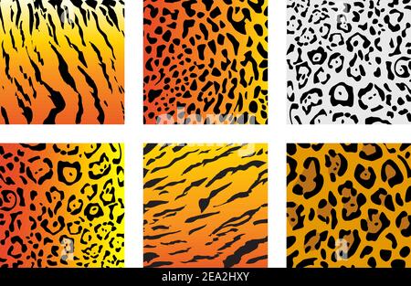 Satz von Wildcat Pelz für Design oder verzierte Stock Vektor