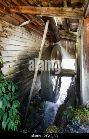 Wasser treibt ein hölzernes Wasserrad einer historischen Mehlmühle im Mühlental von Campill, Südtirol, Italien Stockfoto