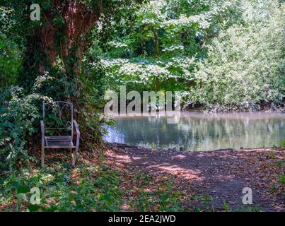 Ein schmiedeeiserner Stuhl neben einem Baum im Wald, in der Nähe von Wasser in Rickmansworth Aquadrome, Hertfordshire, England, Großbritannien. Stockfoto