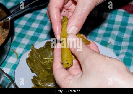 Frau wickelt Traubenblätter für Türkisch Sarma oder Dolma (Yaprak Sarma). Traditionelle türkische Küche. Hausmannskost-Konzept. Stockfoto