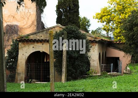 Alte Wäscherei - Landschaft, Mimosen, Blumen - Saint Tropez, Frankreich - 07. Februar 2021 - #ilonabarnabiphotonews Stockfoto