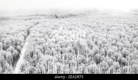 Luftaufnahme einer Straße, die durch einen verschneiten Wald führt An einem bewölkten Tag Stockfoto