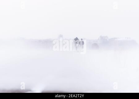 Berlin, Deutschland. Februar 2021, 07th. Deutschland, Berlin, 07. Februar 2021: Im Tempelhofer Feld sind bei Schneefall Menschen zu sehen. Der Deutsche Wetterdienst warnt vor heftigem Schneefall mit Windwirbeleien bei Temperaturen, die deutlich unter dem Gefrierpunkt liegen. (Foto: Jan Scheunert/Sipa USA) Quelle: SIPA USA/Alamy Live News Stockfoto