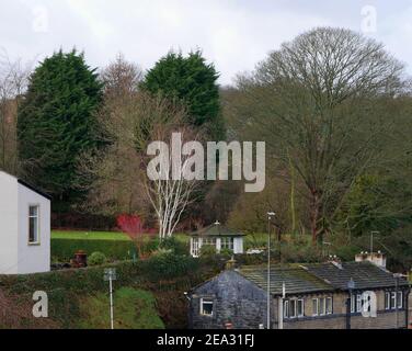 Blick über Dächer zu Gärten mit Sommerhaus Sträuchern Hecken weiß Bäume bauen im Hintergrund Stockfoto