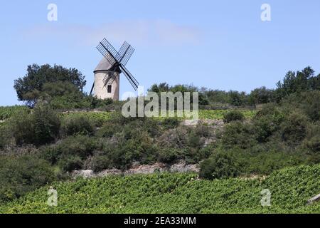 Landschaft mit Chassagne Montrachet Weinbergen in Burgund, Frankreich Stockfoto