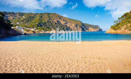 Blick auf den Strand von Cala Aiguablava praktisch verlassen, wo der Wald umgibt es das Meer erreicht. Begur, Costa Brava, Katalonien, Spanien Stockfoto