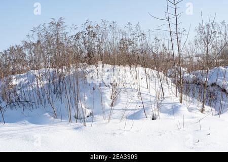 Frostige Luft an einem sonnigen Tag mitten in der Wintersaison. Schneehäuschen auf landwirtschaftlichen Feldern in Polen. Stockfoto