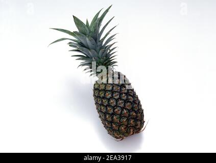 Reife ganze Ananas isoliert auf weiß Stockfoto