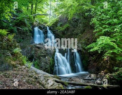 Atemberaubender Wasserfall Forsakar langsam fallendes Wasser in der Nähe von Degeberga Stockfoto
