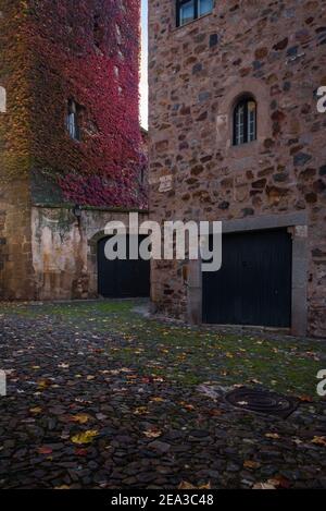 Herbstliche Blätter an der Fassade eines Gebäudes in der Altstadt von Cáceres, UNESCO-Weltkulturerbe, Extremadura, Spanien Stockfoto