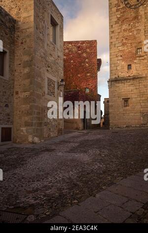 Straße der monumentalen Altstadt von Cáceres Stadt bei Sonnenuntergang, UNESCO Weltkulturerbe Stadt, Extremadura, Spanien Stockfoto