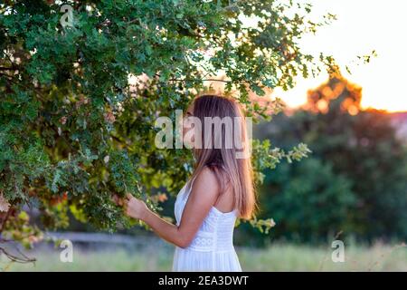 Profil eines jungen Mädchens in weißem Kleid bei Sonnenuntergang Mit blonden langen Haaren, die den magischen Baum berühren Stockfoto