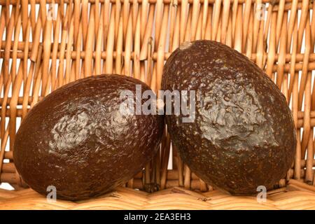 Zwei ganze dunkelgrün gerundet reif lecker nahrhaft Avocados liegen In einem Korbkorb Stockfoto