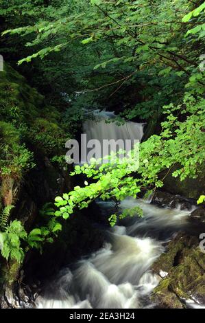 Afon Hwch, Ceunant Mawr, Llanberis. Stockfoto