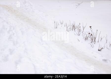 Trockene Äste von Gras in weißem Schnee und Fußweg Stockfoto