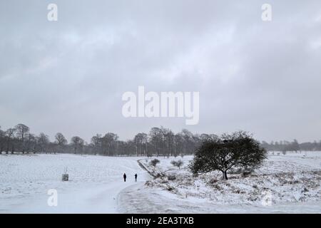 Weit entfernte Wanderer inmitten düsterer Landschaft inmitten von Schneefall im Knole Park, Sevenoaks, Kent, England, Februar 7, 2021. Harte, eisige Bedingungen Stockfoto