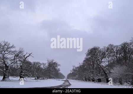 Schneefall auf Chestnut Walk, Tudor Touristen und Tagesausflug Hotspot Knole Park, Sevenoaks, Kent, England, 7. Februar 2021. Stockfoto