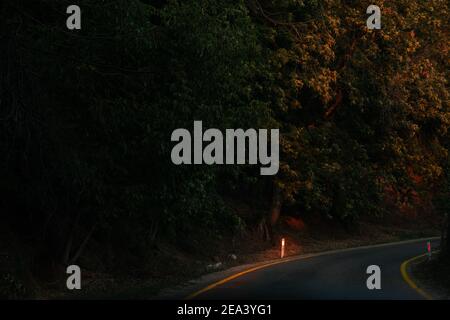 Herbstwald mit Landstraße bei Sonnenuntergang. Bunte Landschaft mit Bäumen, Landstraße, grüne Blätter, Sonne im Herbst. Herbsthintergrund. Erstaunlicher Wald Witz Stockfoto