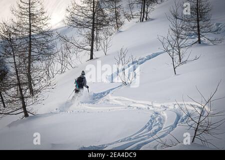 Die Freeskier-Skifahrerin macht auf zwei anderen Strecken frische Tracks Im Pulverschnee im Winter Berghang in Bäumen in Chamonix Frankreich Stockfoto