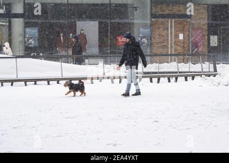 Ein Mann, der während des Schneesturms mit seinem Hund unterwegs ist. Blizzard von Schneesturm Darcy trifft die Niederlande, der erste heftige Schneefall mit intensiven starken Winden nach 2010. Das Land erwachte am Sonntag mit einer Schneeschicht, die alles bedeckte. Viele Unfälle ereigneten sich auf den niederländischen Straßen aufgrund des Sturms und der eisigen Bedingungen, während es auch ein Problem mit den Zügen gab. In der Stadt Eindhoven in Nordbrabant wurde der Bahn- und Busverkehr eingestellt, der Flughafen folgte und der Flugverkehr umgeleitet. Die Menschen gingen in die Innenstadt von Eindhoven, um die weiße Landschaft zu genießen und einige nutzten tei Stockfoto