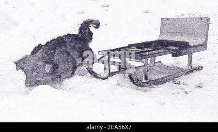 Illustration eines Mann Schlittenhundes mit Schlitten. Schöne Illustration eines Hundes und eines Winterschlittens in schwarz und weiß. Stockfoto