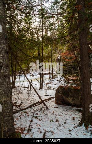 Egan Chutes Conservation Area Bancroft Ontario Kanada im Winter Stockfoto