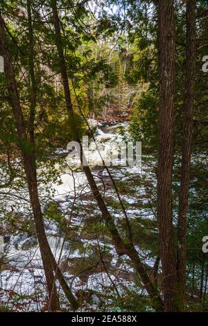 Egan Chutes Conservation Area Bancroft Ontario Kanada im Winter Stockfoto