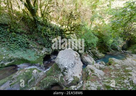 Schmaler Gebirgsfluss zwischen den Steinen Stockfoto