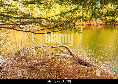 Egan Chutes Conservation Area Bancroft Ontario Kanada im Winter Stockfoto